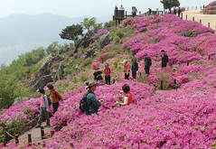 백양산